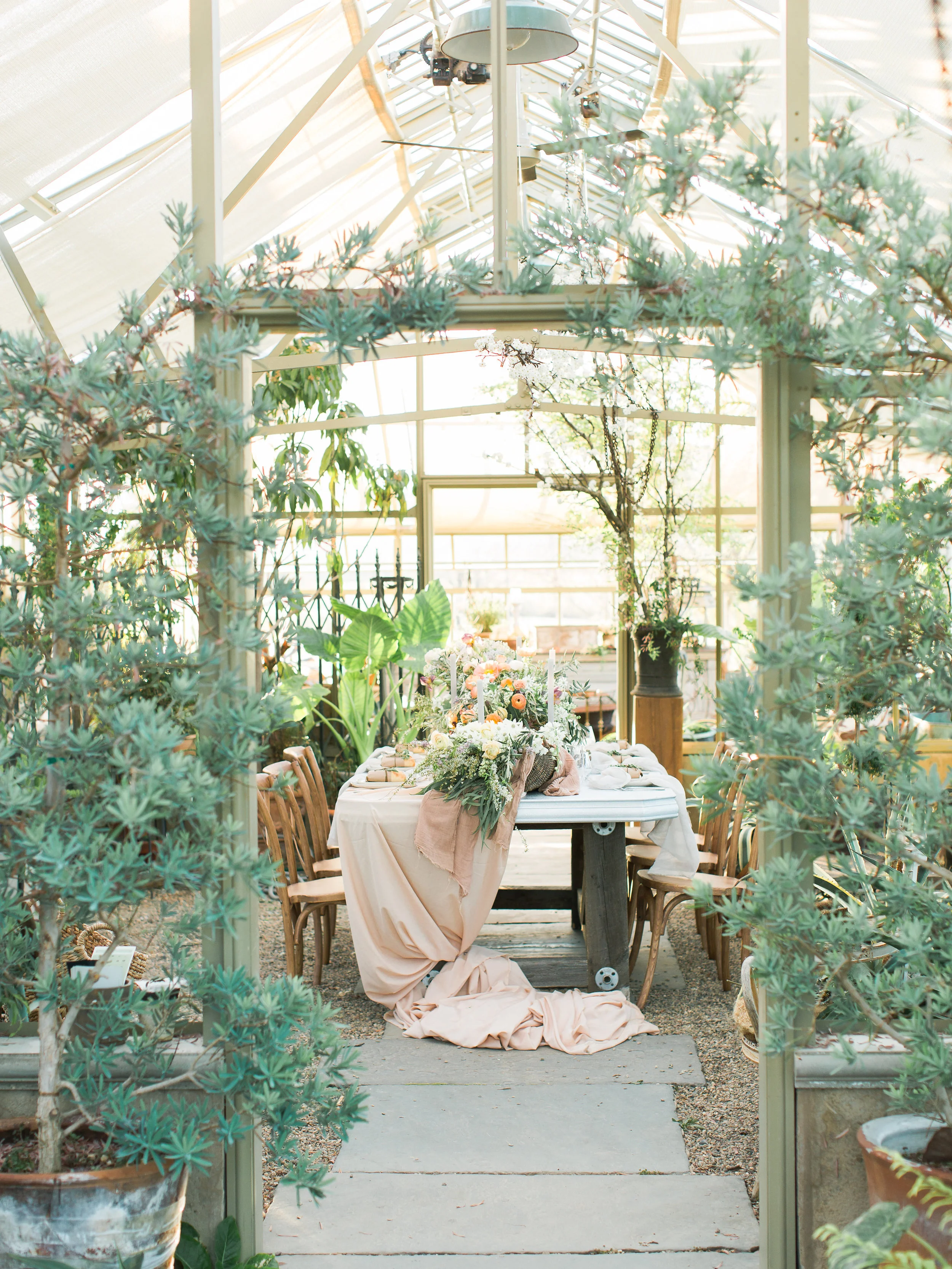 Jardin De Buis Shannon Wellington