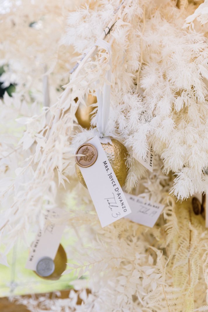 Screen Shot 2022-08-24 at 6.49.28 PM.png