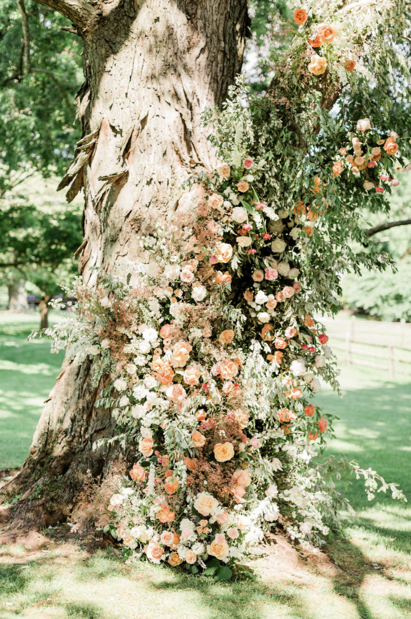 Screen Shot 2022-08-26 at 9.08.31 AM.png