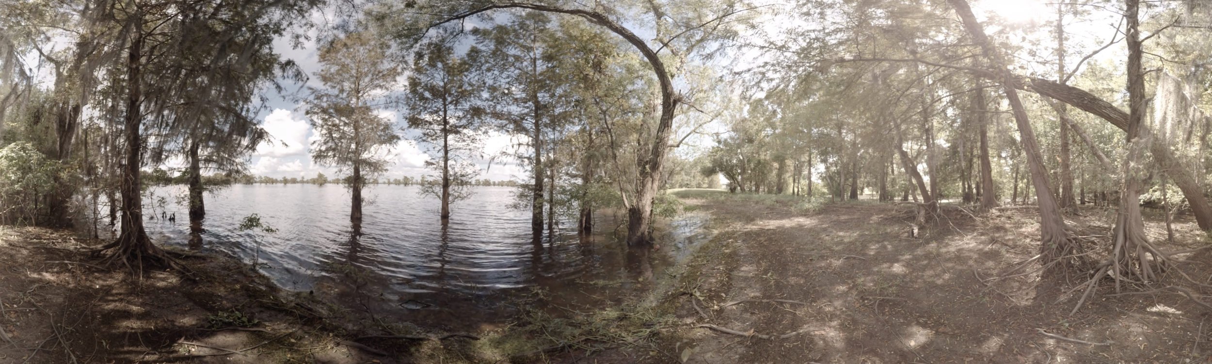 "Blood Memory VR" Atchafalaya Basin, Louisiana