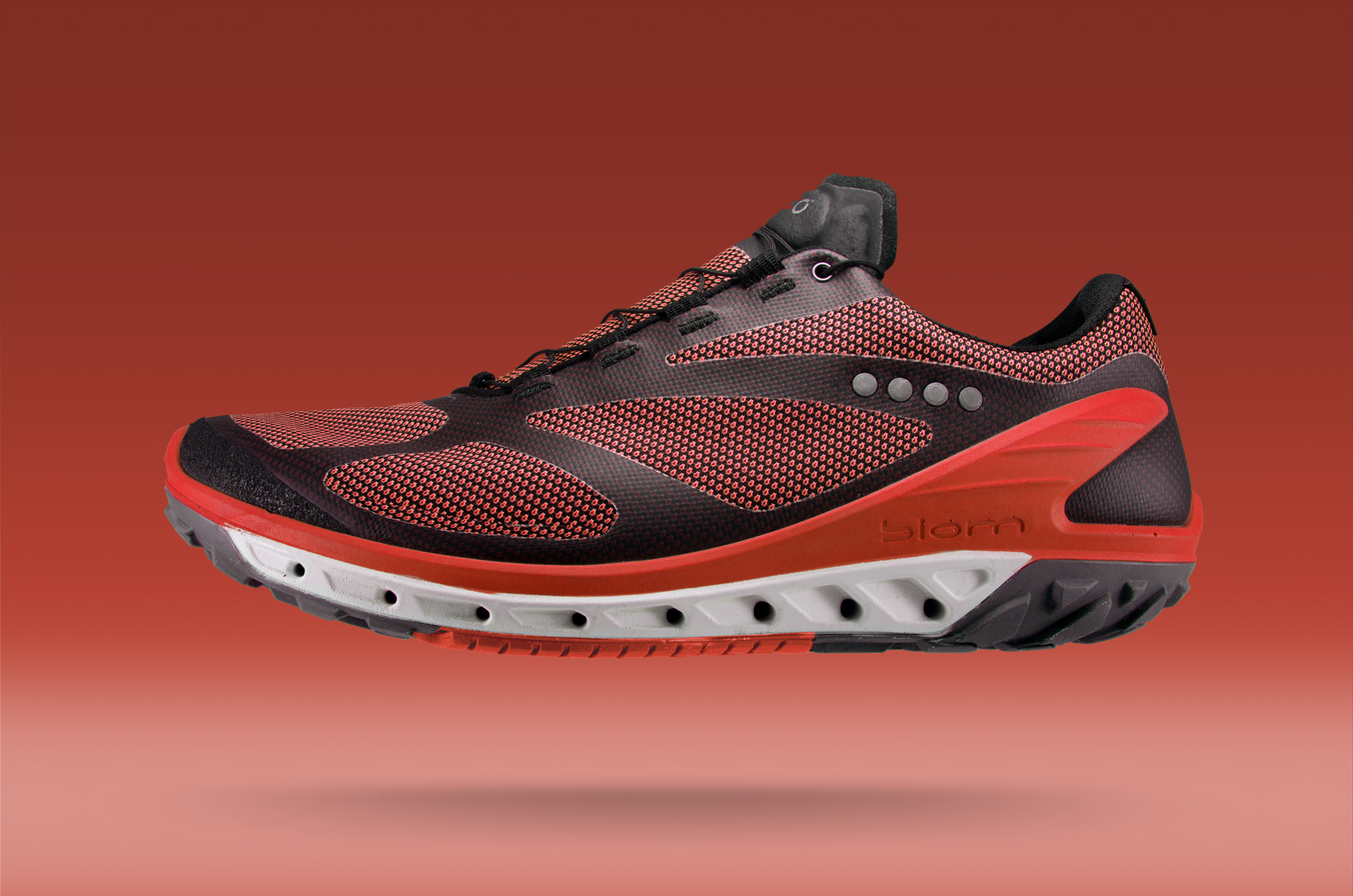 ecco-biom-venture-gtx-side.jpg