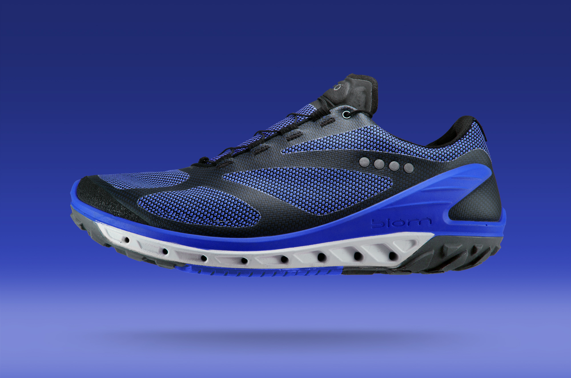 ecco-biom-venture-gtx-side-blue.jpg