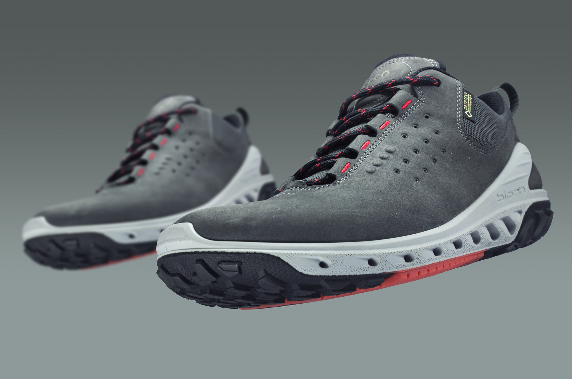 ecco biom venture gtx