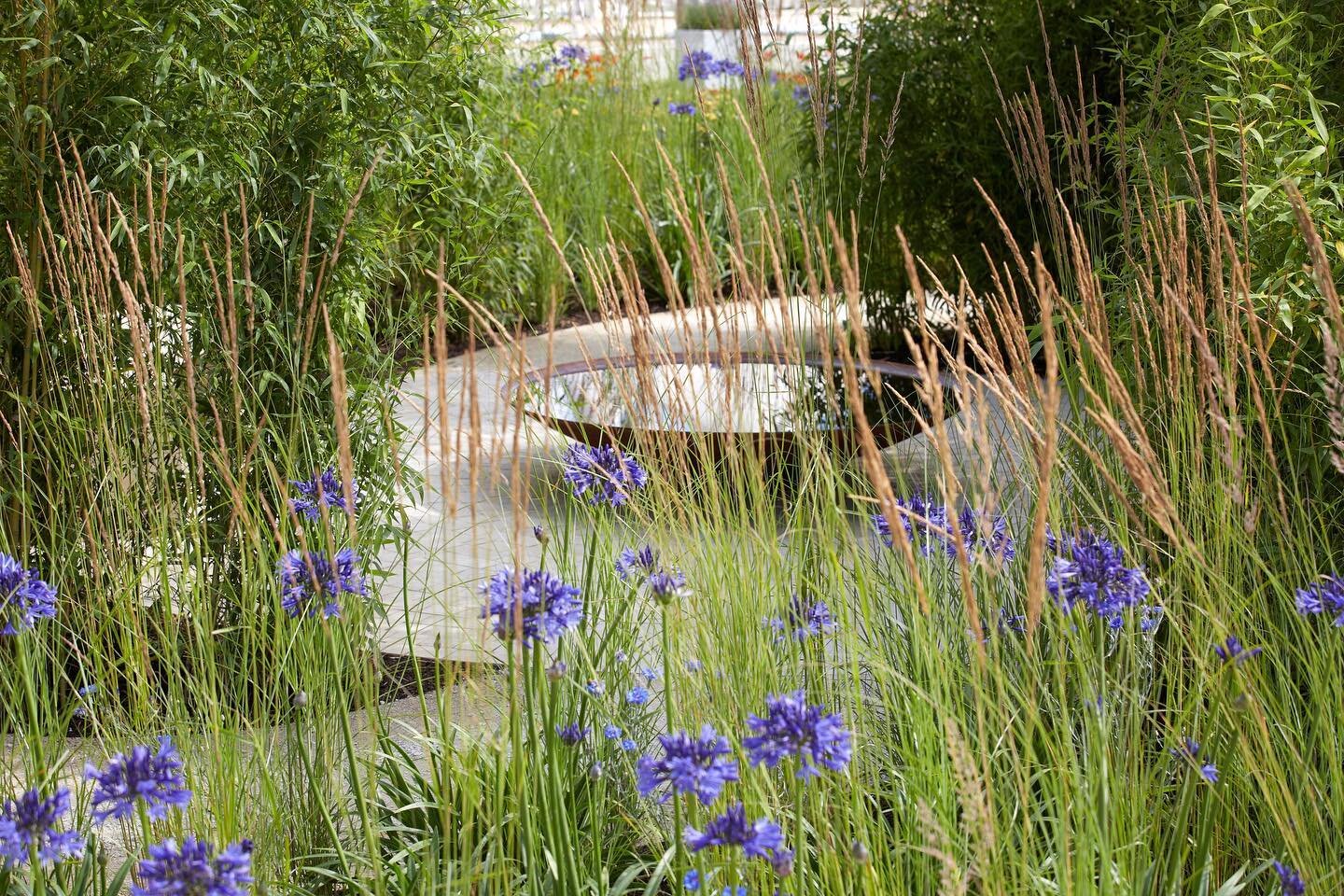 @the_rhs Show Garden Number 2:

🌸The Perennial Sanctuary Garden 
🌿RHS Hampton Court Palace Flower Show 2017 
🏅Silver-Gilt Medal

This show garden was designed to raise awareness of Perennial, Gardeners&rsquo; Royal Benevolent Society, the UK&rsquo