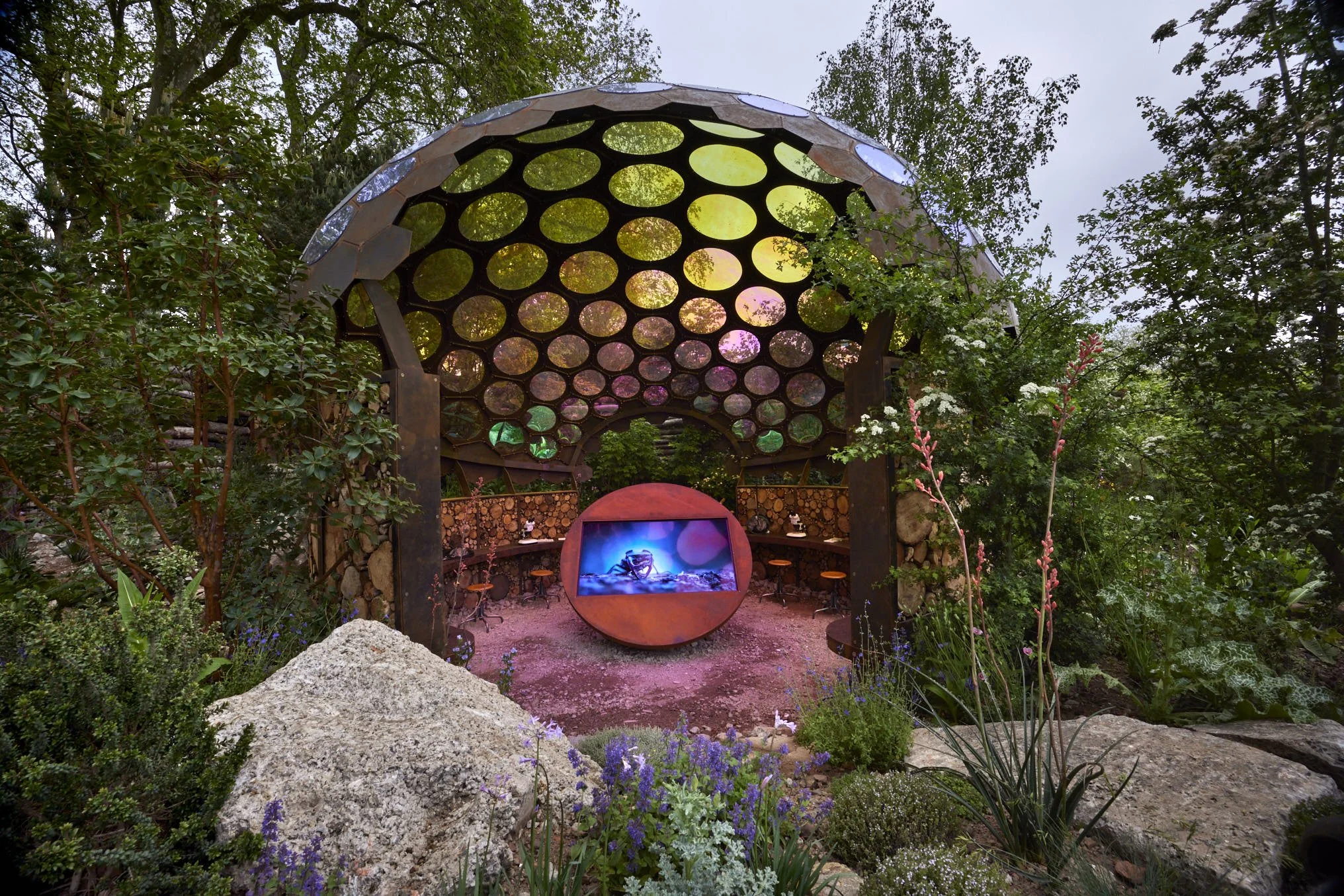 Royal Entomological Society Garden RHS Chelsea Flower Show 2023 — Tom