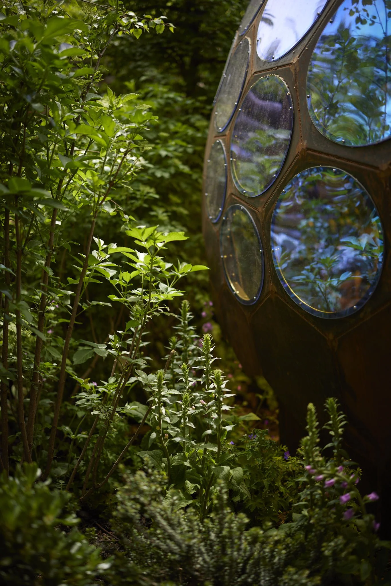 Royal Entomological Society Garden RHS Chelsea Flower Show 2023 — Tom