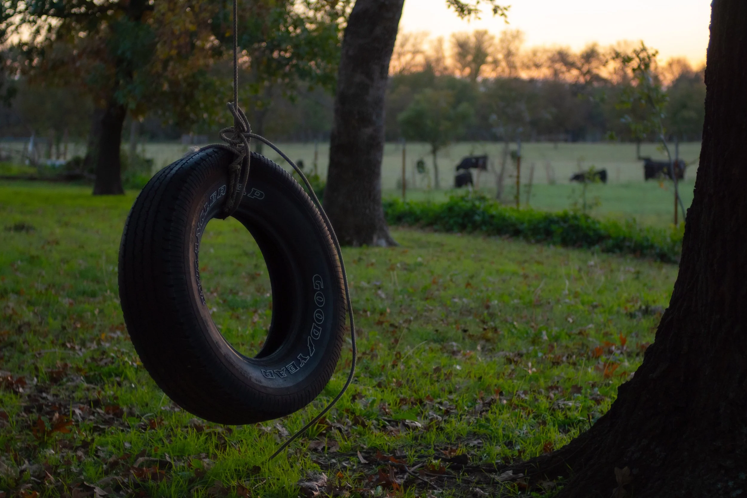 tirephoto.jpg