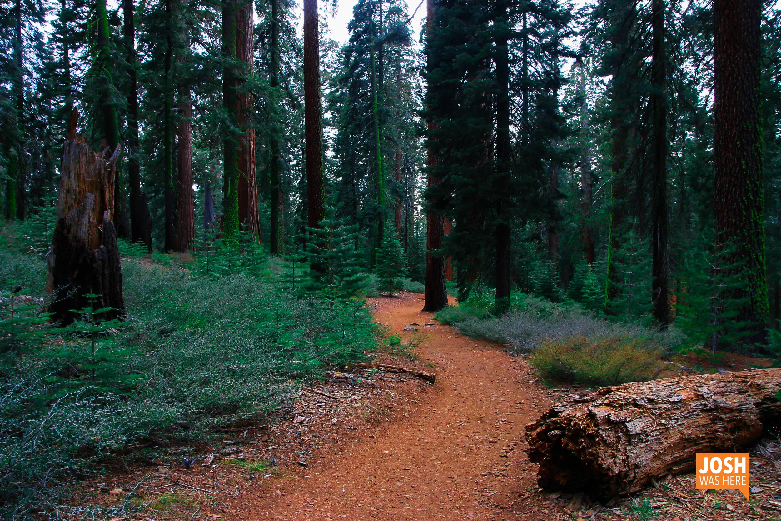 Yosemite Apr 14-18 2014 (697).jpg