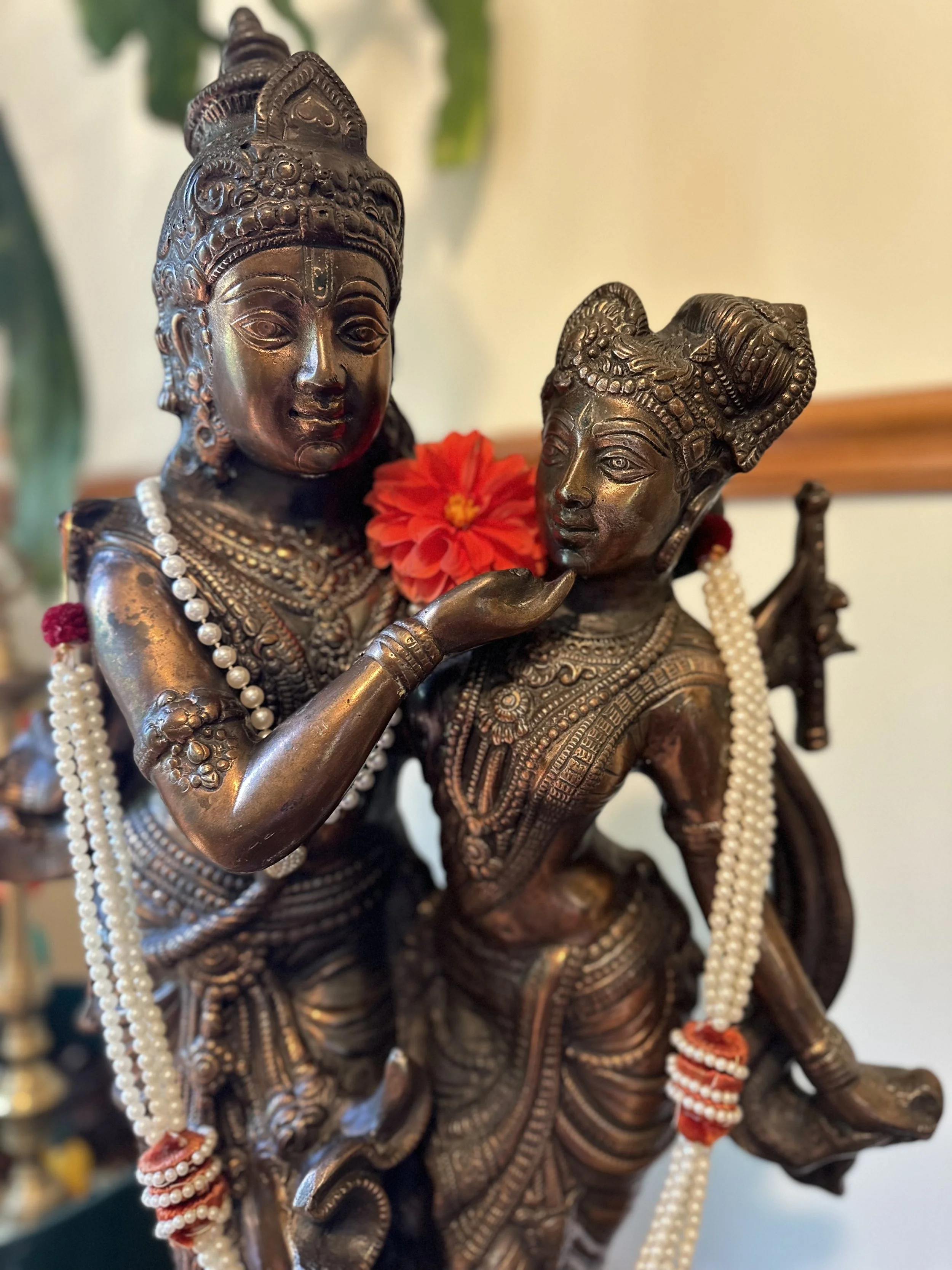 Brahmasabha Chicago Parayanam