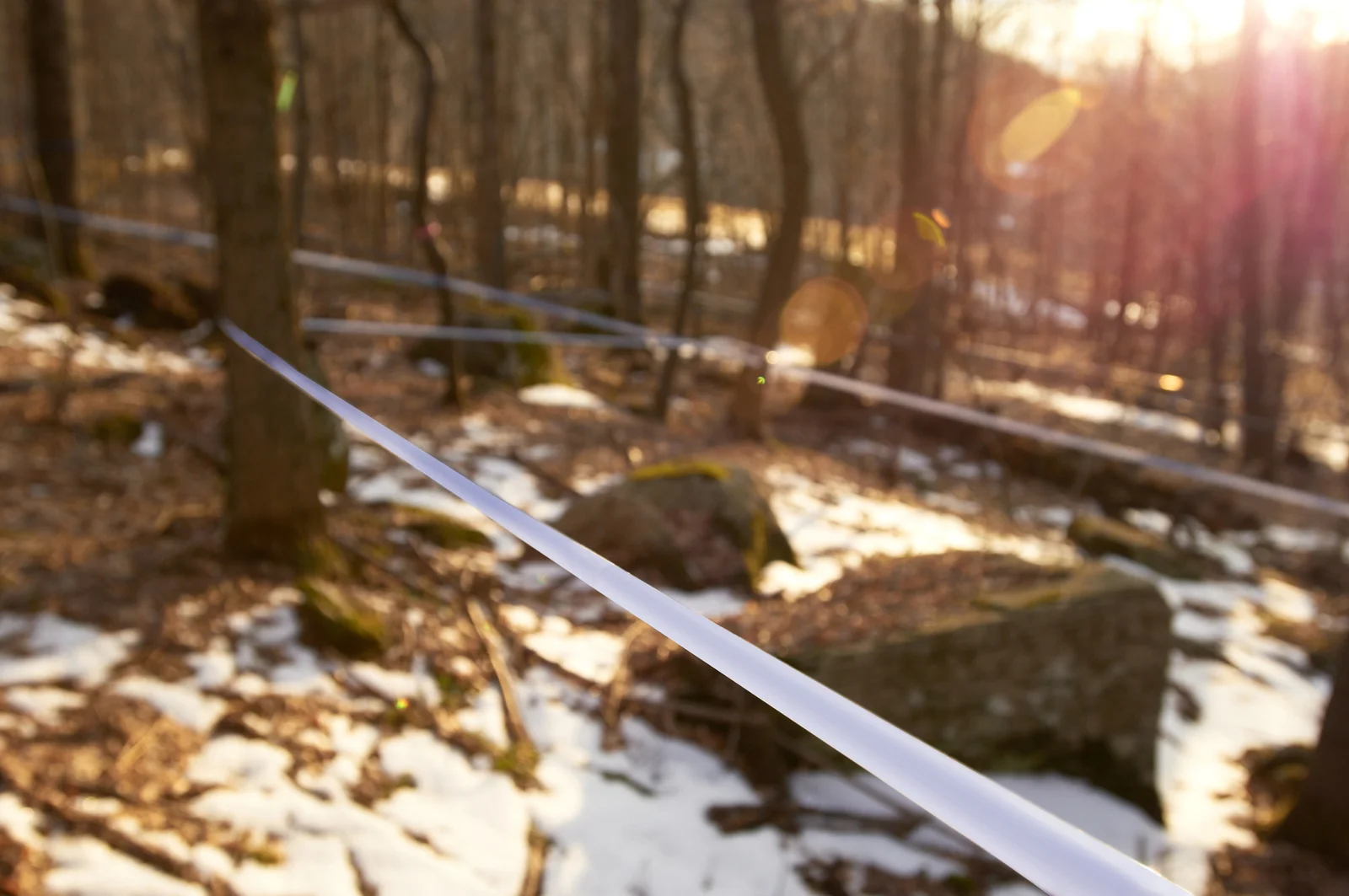 Maple Syrup Catskill Mtn-033.jpg