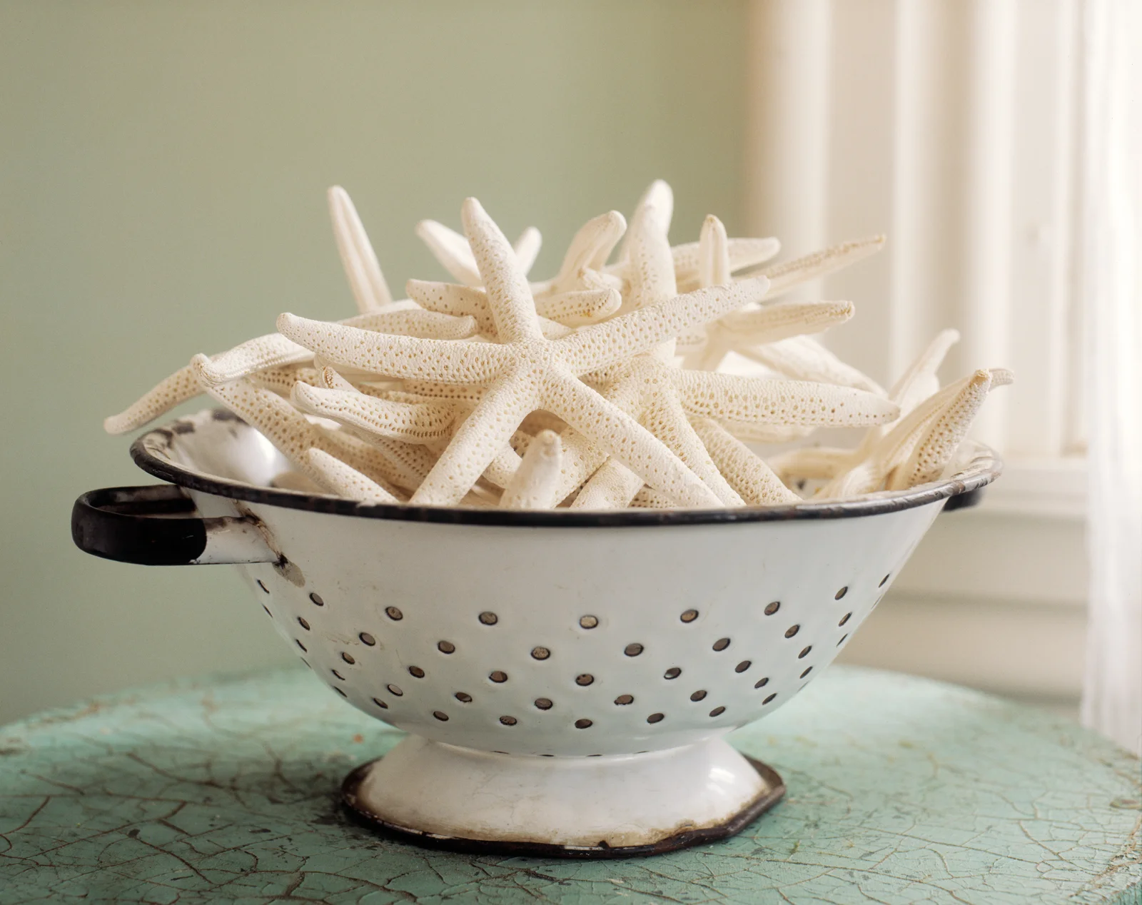 Bowl-o-starfish.jpg