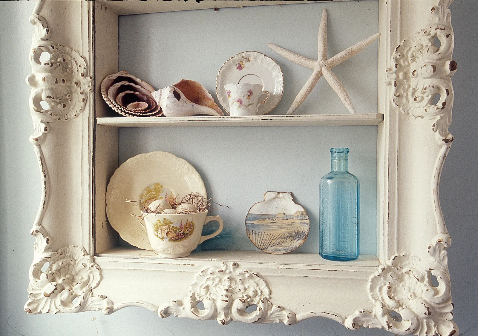 Shelf.jpg