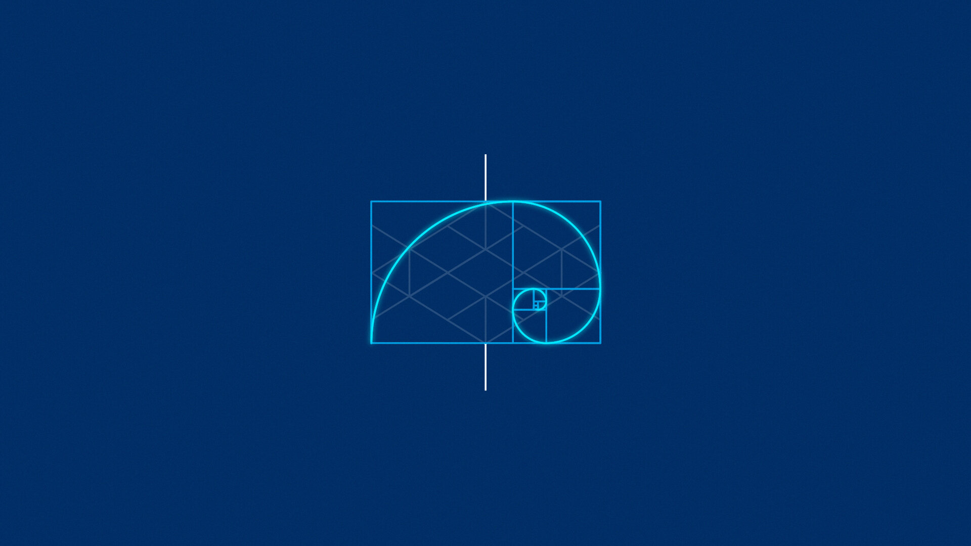 ccaim-logo-animation-explainer-video-animation-freelance-motion-graphics-designer-and-animator-london_05