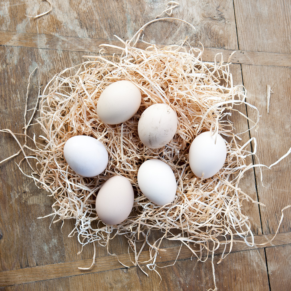 6 Lucky Dip Hatching Eggs — Higher Oak Farm