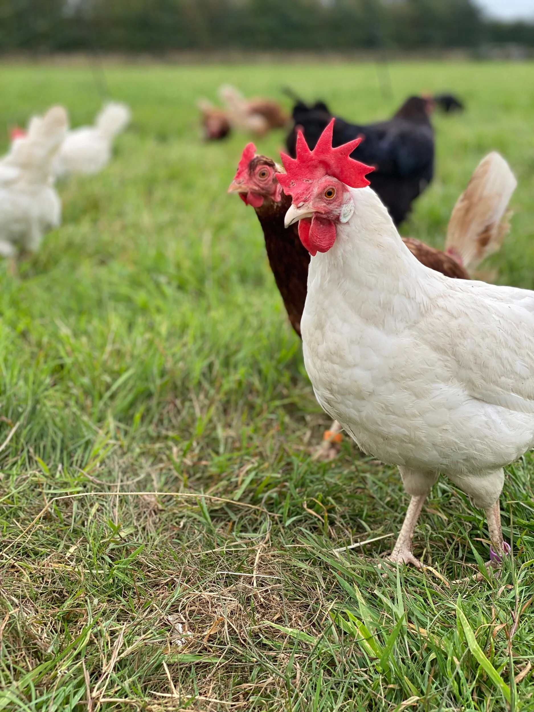 8B8AEF70-4B6F-4509-9EE8-7CCA1A9A115F