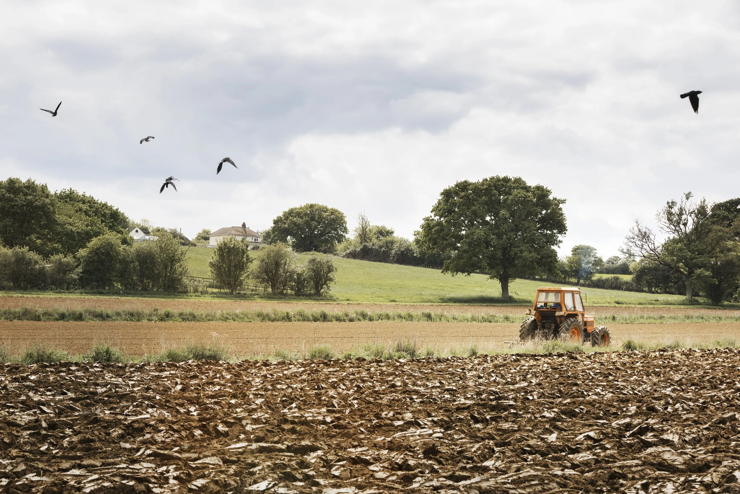 UK Budget 2024: How Inheritance Tax Changes Could Threaten Family Farms and Rural Communities