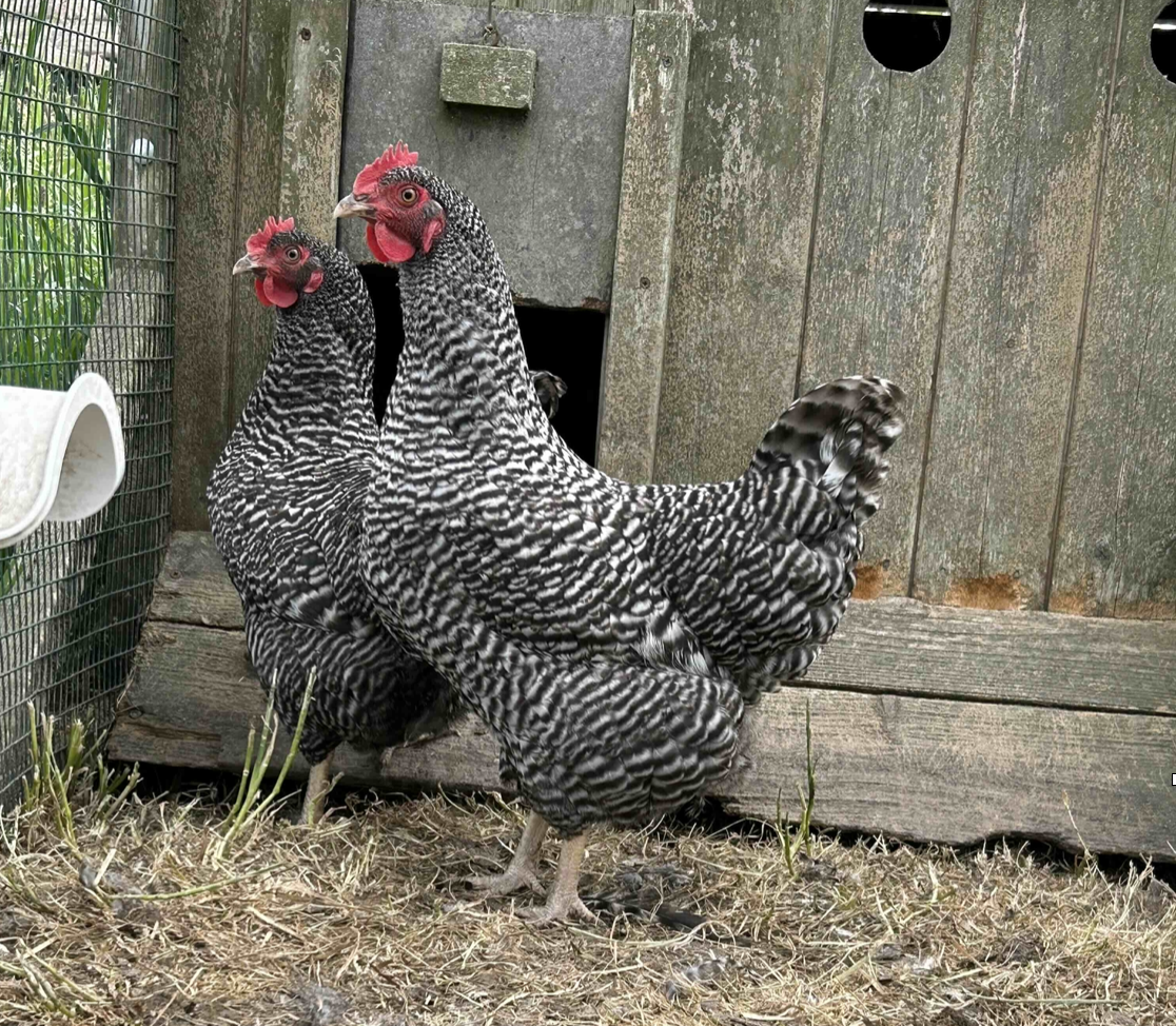 Screenshot 2025-05-23 at 21.21.20.png