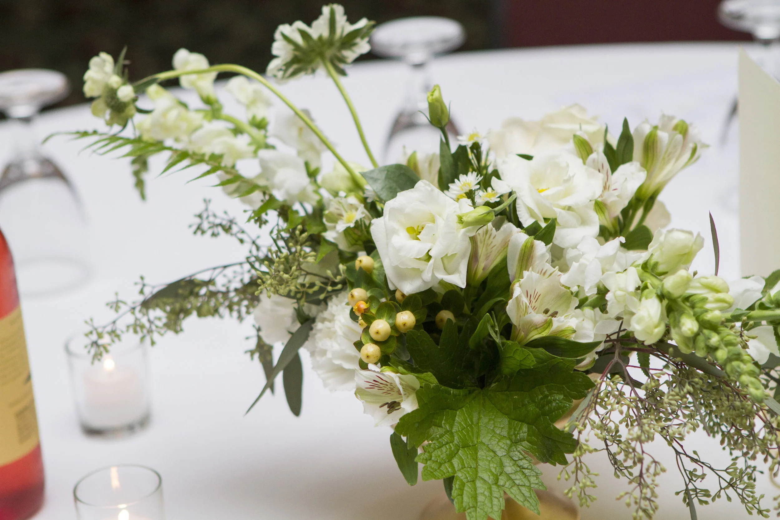 Kari Villa-Rivera Photography