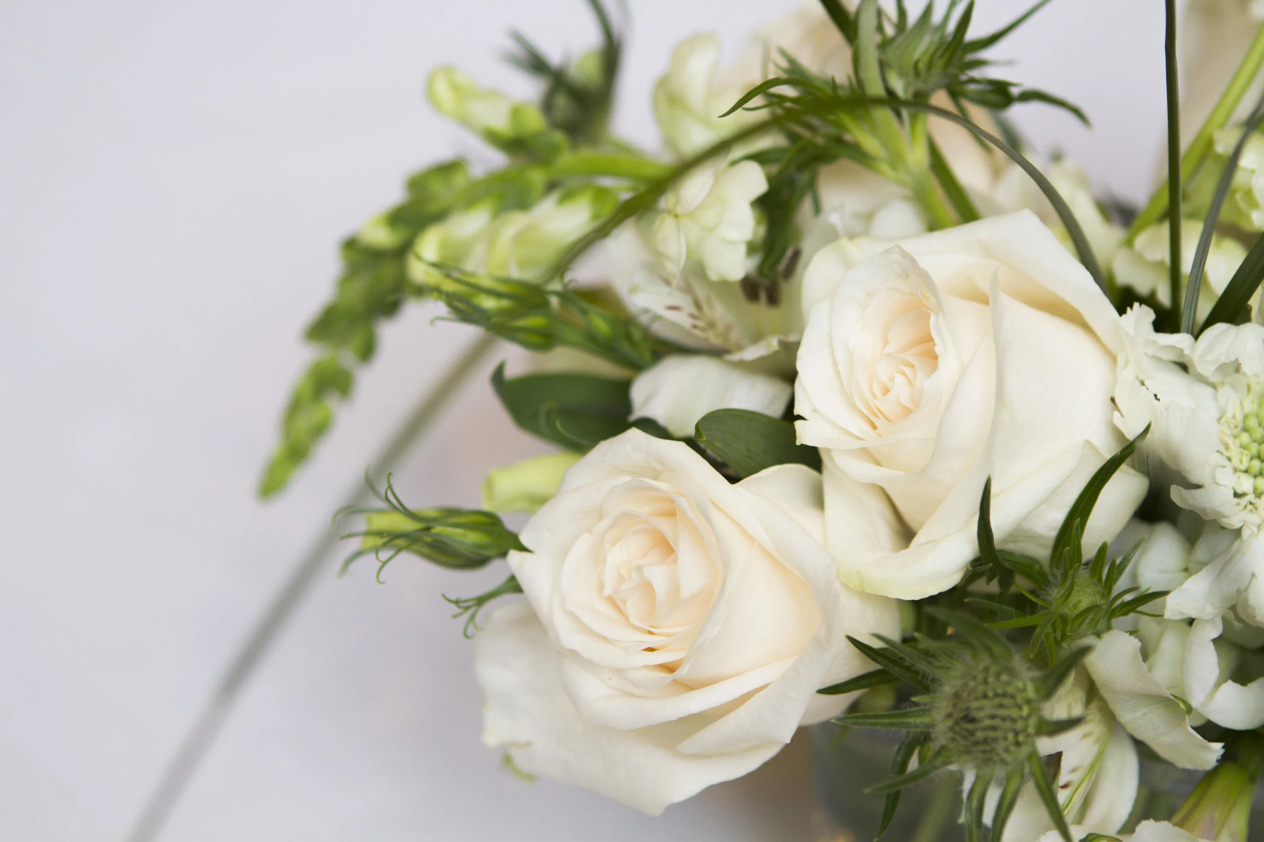 Kari Villa-Rivera Photography
