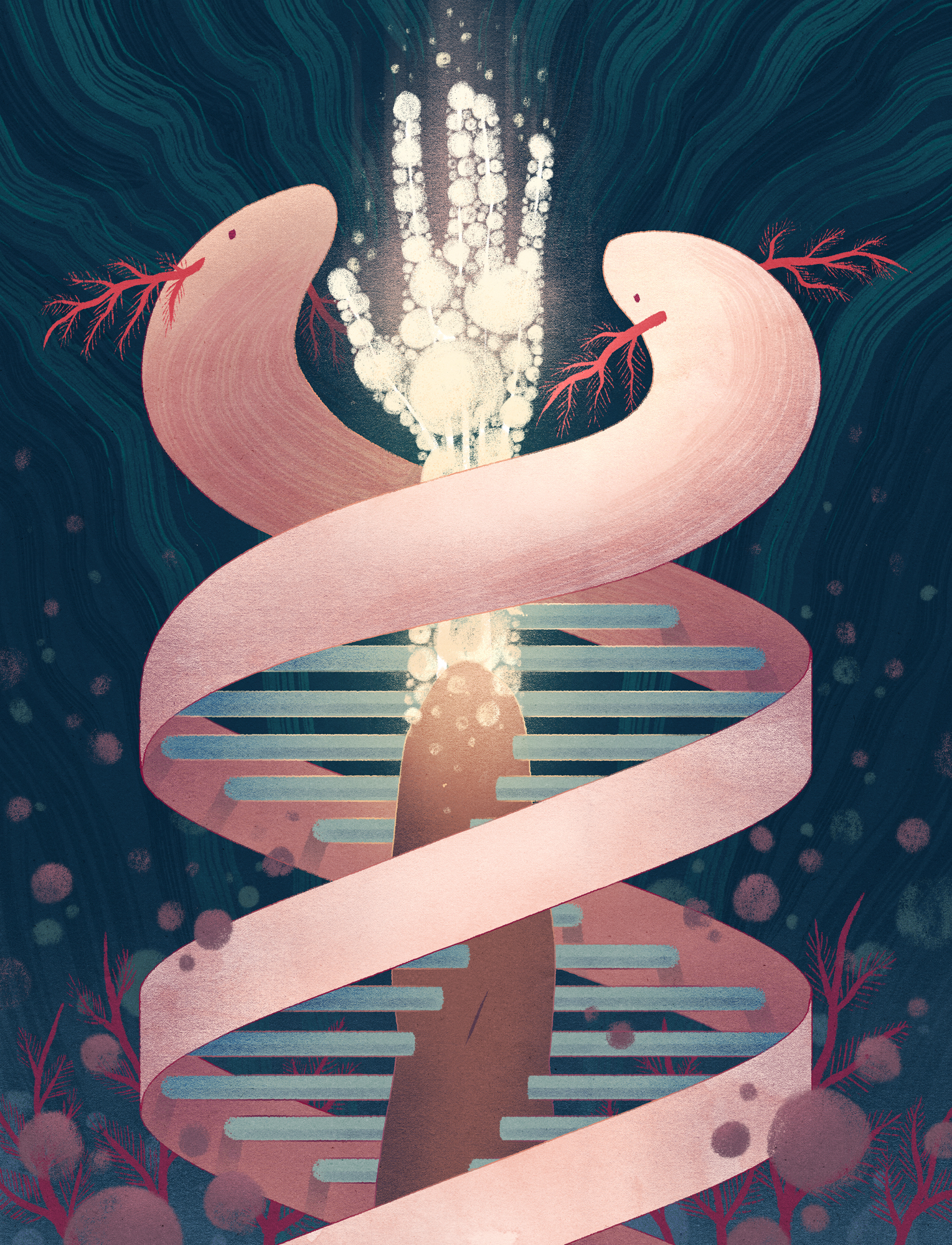 Regeneration