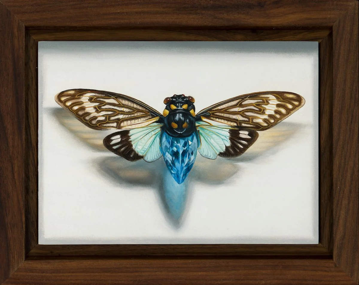 Cicada Blue Framed_web.jpg