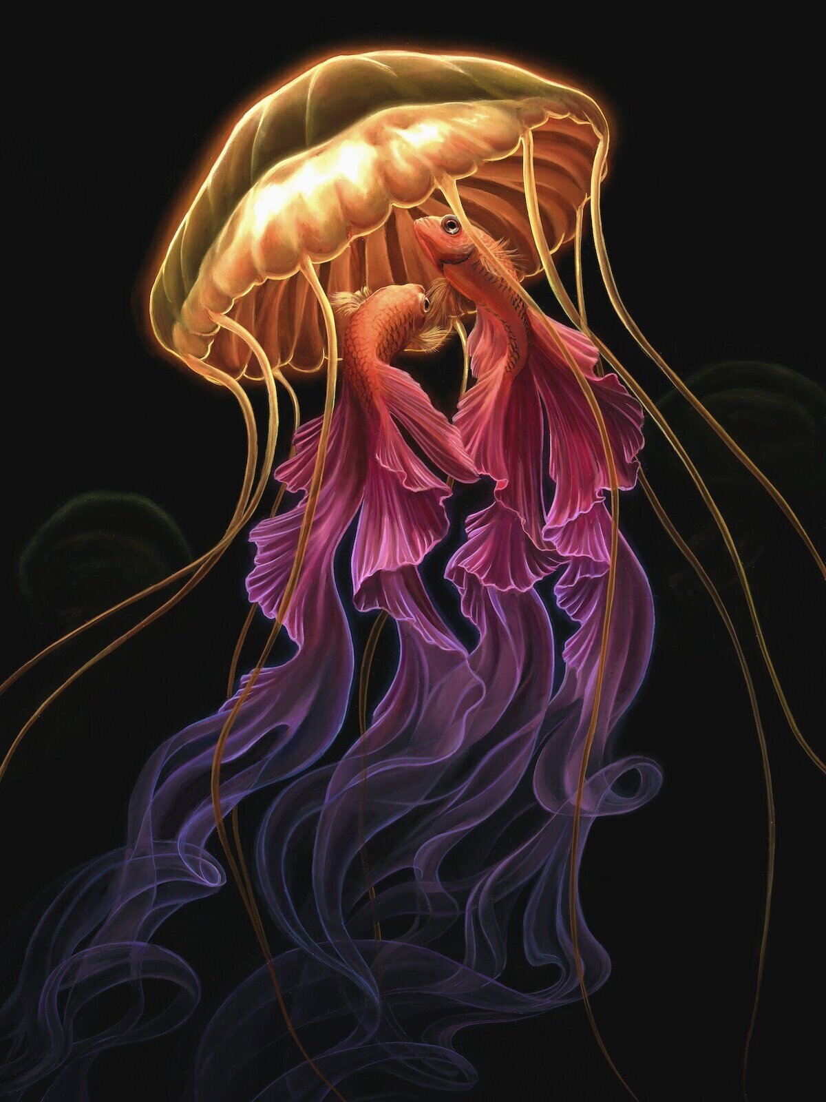 Tango%2BWebstore.jpg