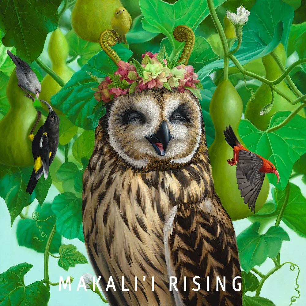 Jon Ching - Makali'i Rising.jpg