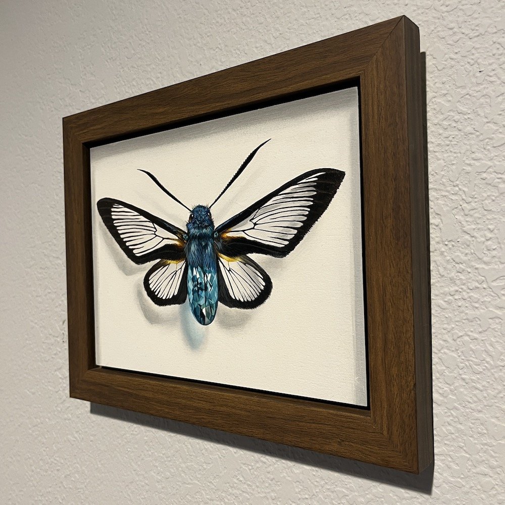 Clearwing Blue Framed3.jpg