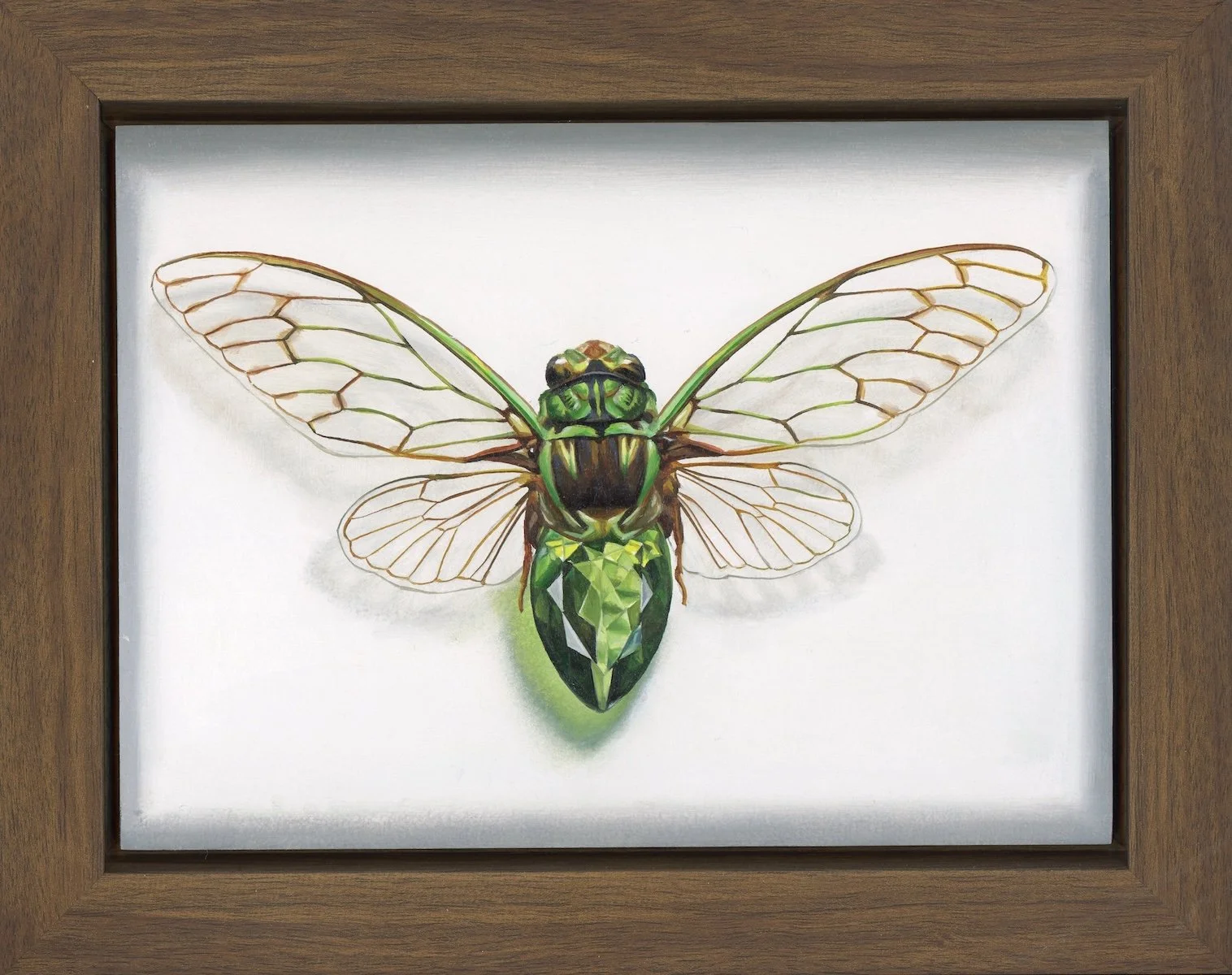Emerald Cicada Framed Web.jpg