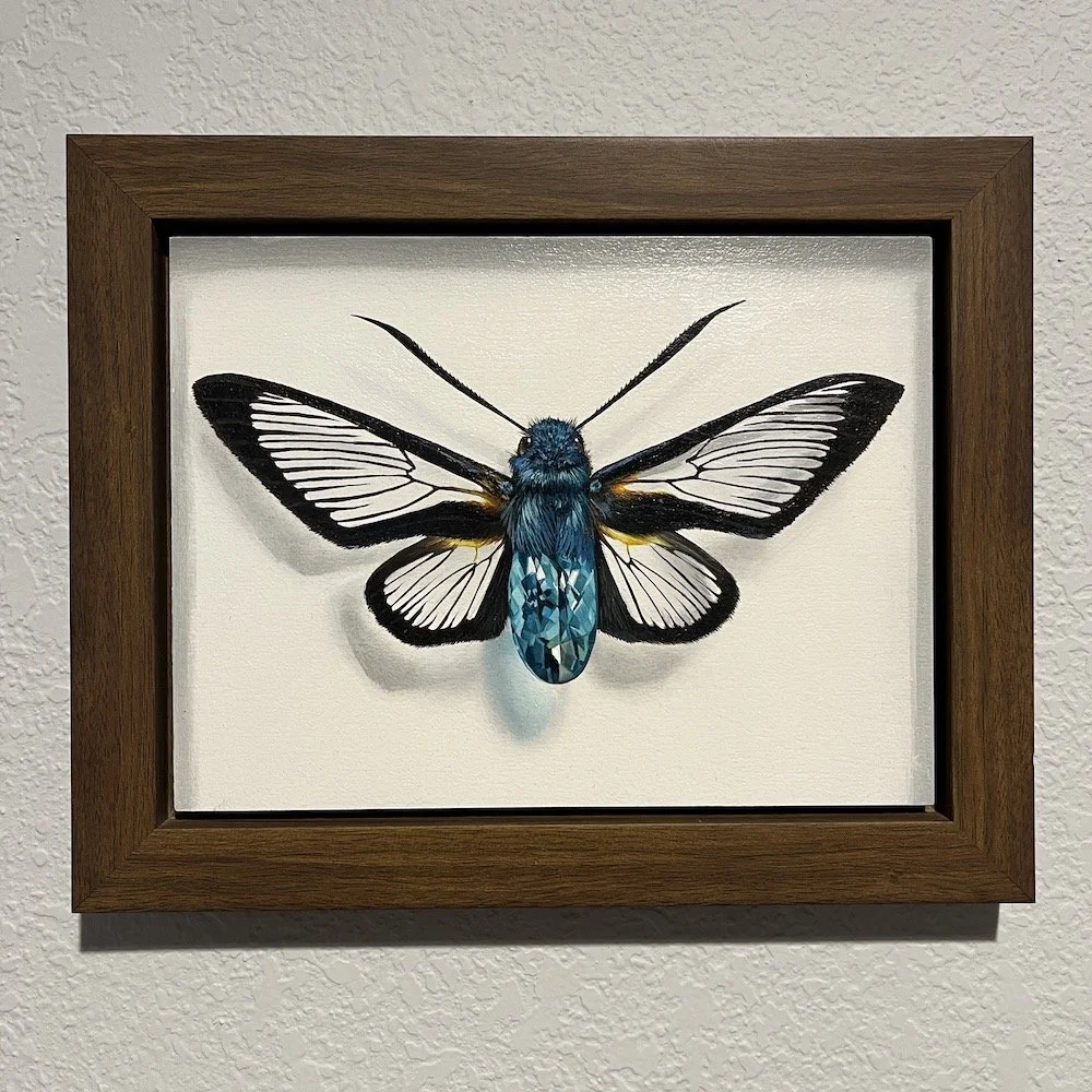 Clearwing Blue Framed2.jpg