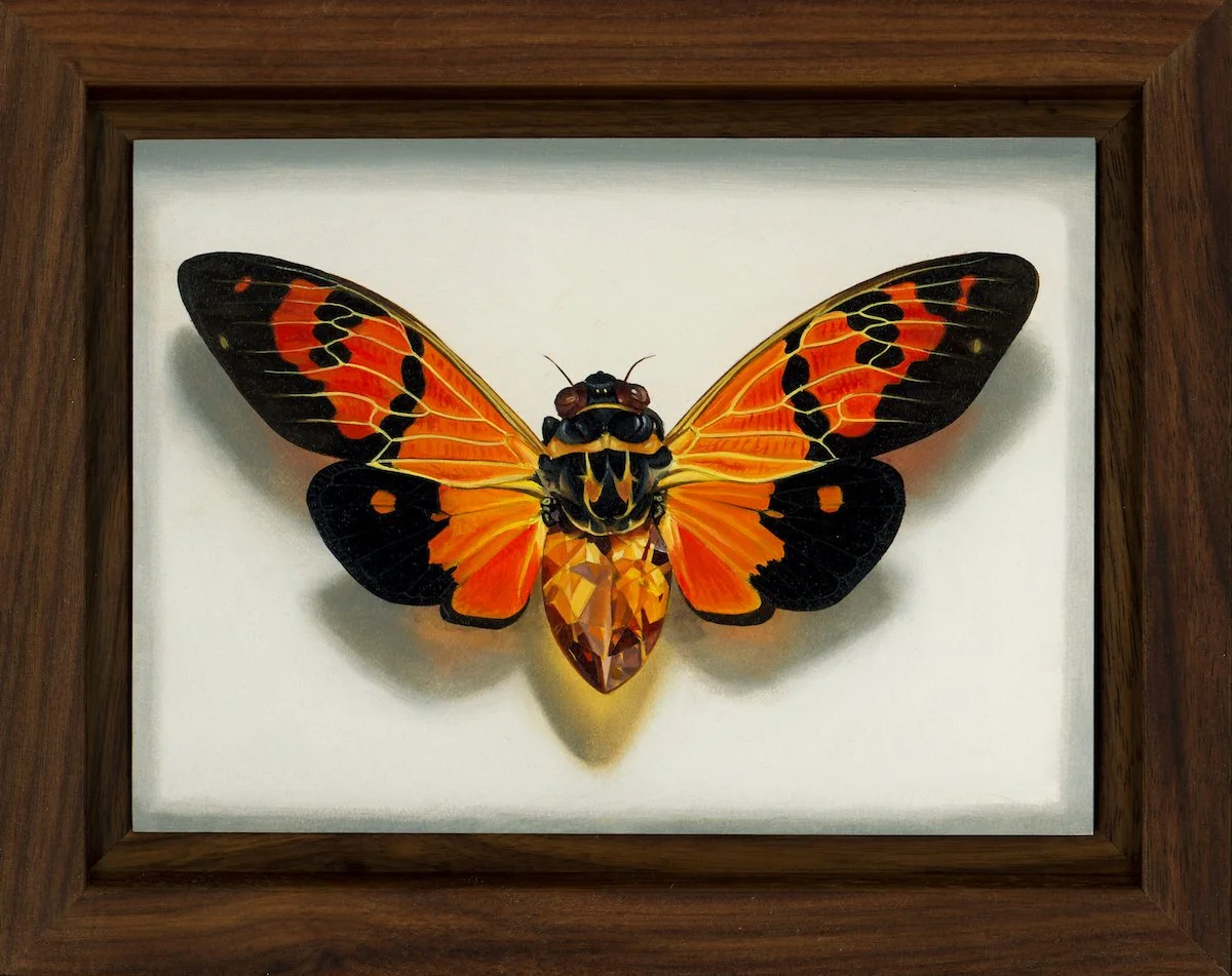 Cicada Orange Framed_web.jpg
