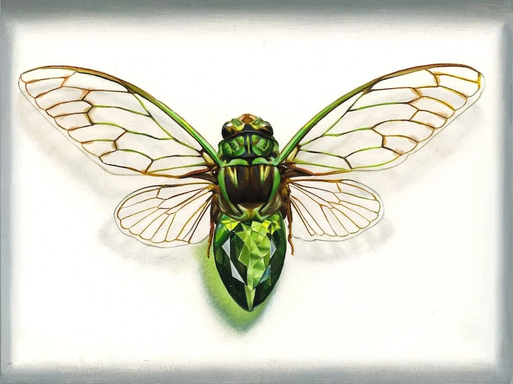 Jon Ching - Emerald Cicada.jpg
