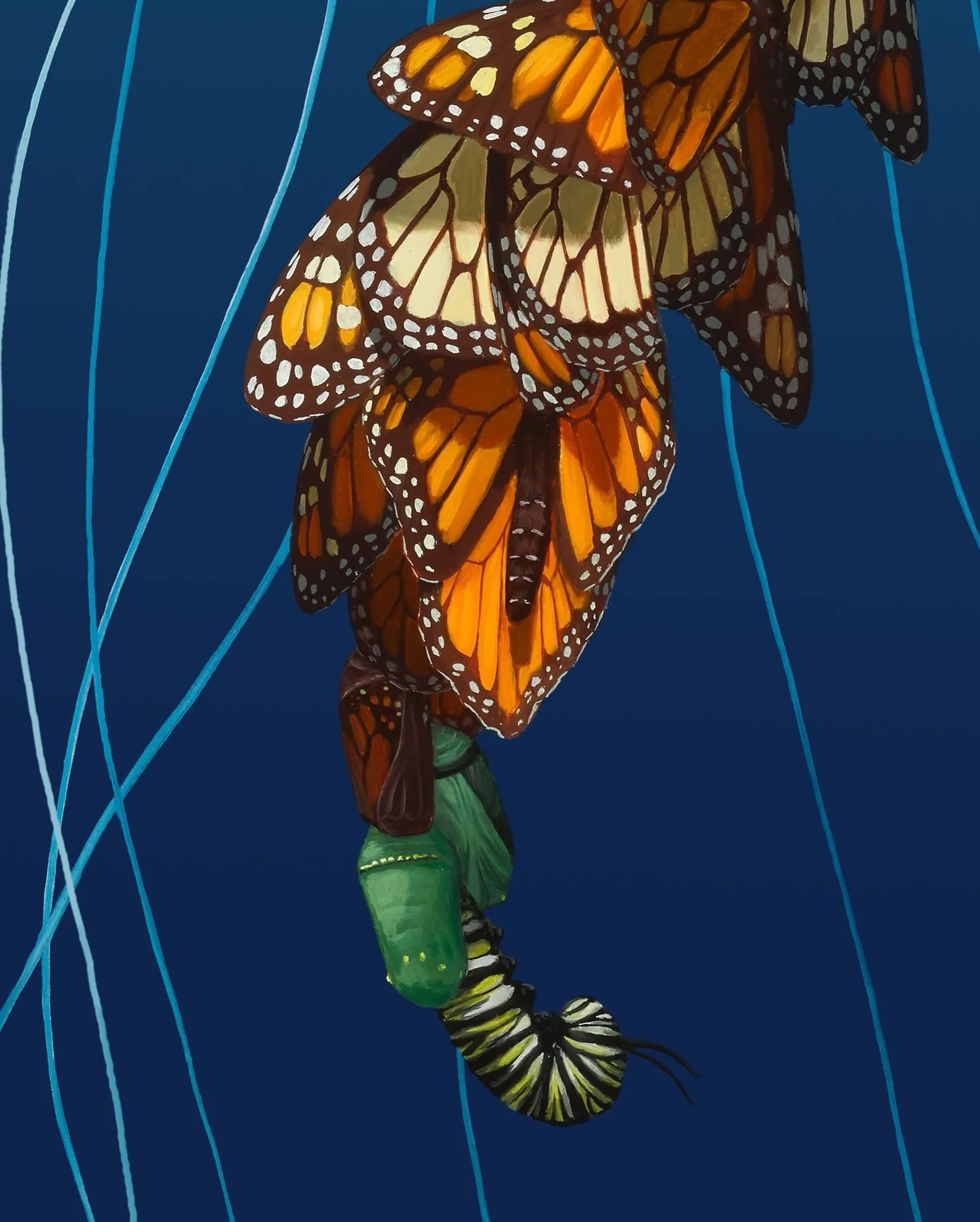 Kaleidoscope_Full LG copy 2.jpg