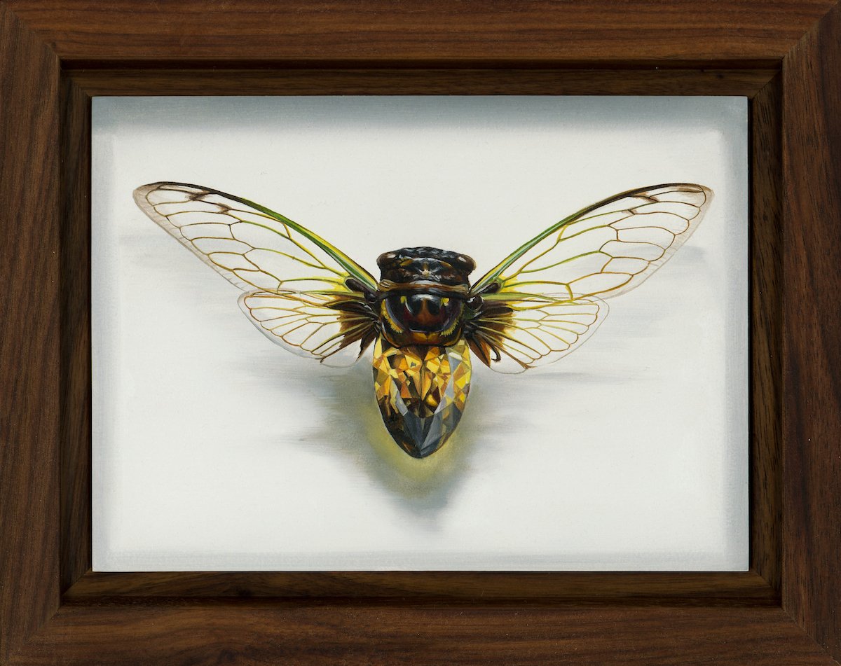 Cicada Gold Framed_web.jpg