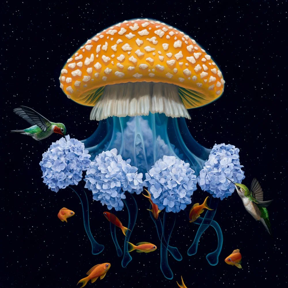 Jon Ching - Domyces.jpg