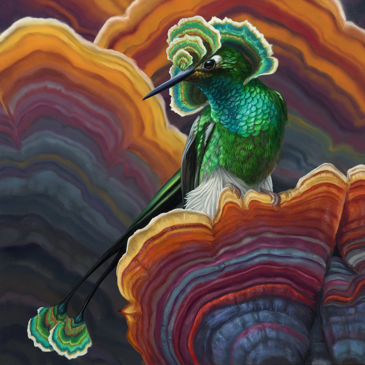 Mushroom Hummer_web.jpg