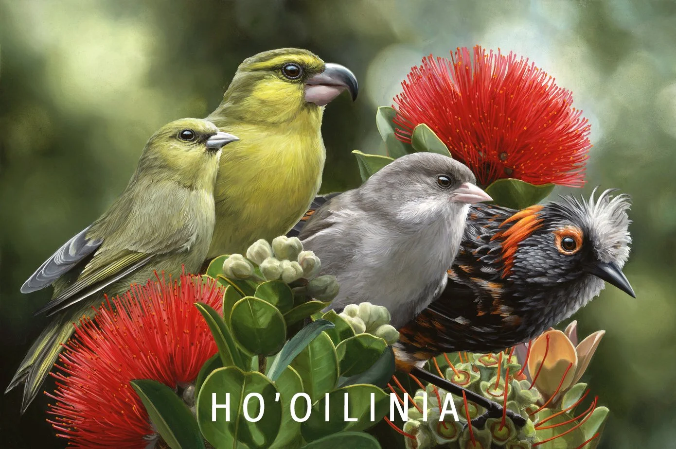 Ho'oilina.jpg