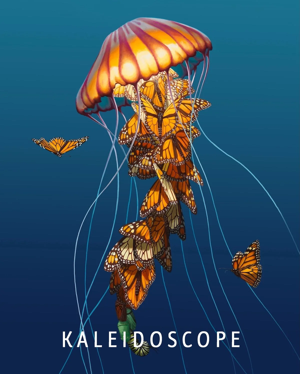 Kaleidoscope web.jpg