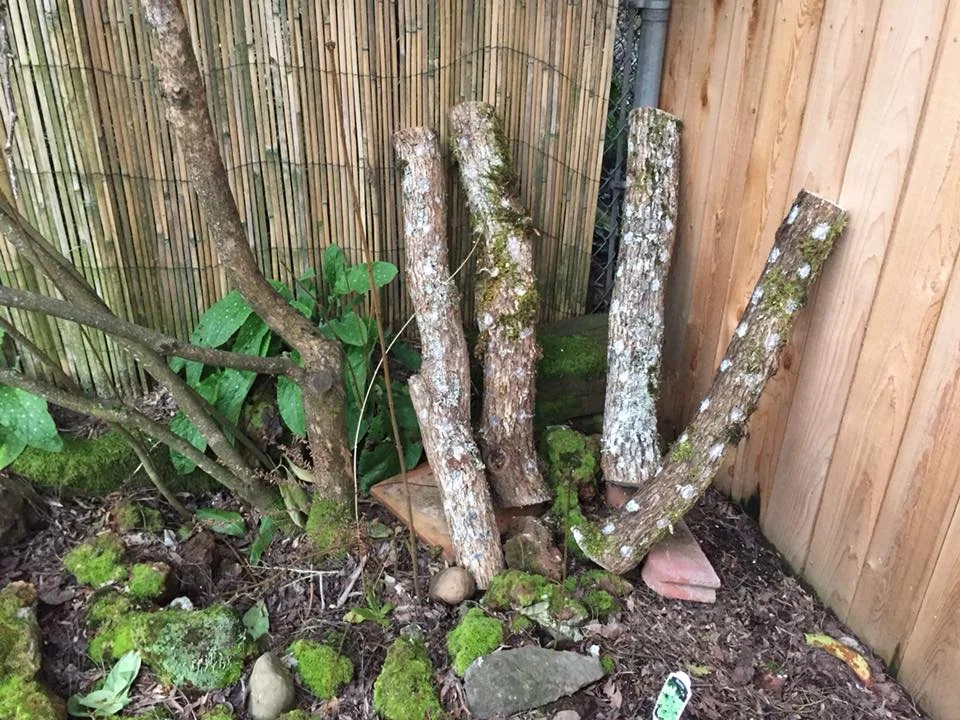 mushlogs 5.jpg