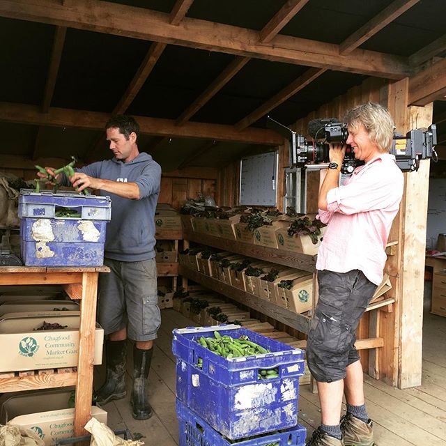 We're all gonna be on the tele! Here's our Ed being filmed at his farm for Countryfile. Watch out for it on Aug 13th. #countryfile #dartmoor #farmer #artisan @chagfood