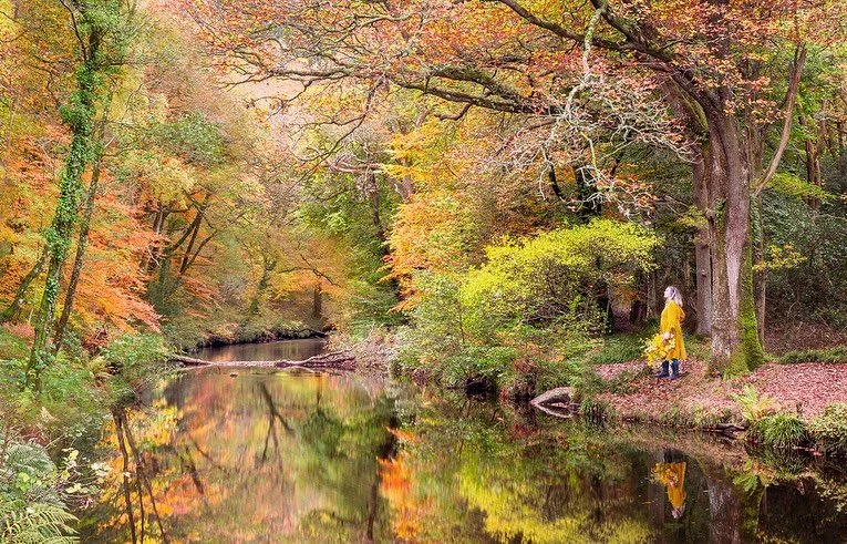 This is one of my favourite photos from &lsquo;Artisans of Dartmoor&rsquo;, so it&rsquo;s fantastic to see @devonlifemag using it on their front cover this month to promote their feature about the book and get us all excited for autumn. 
&thinsp;
I t