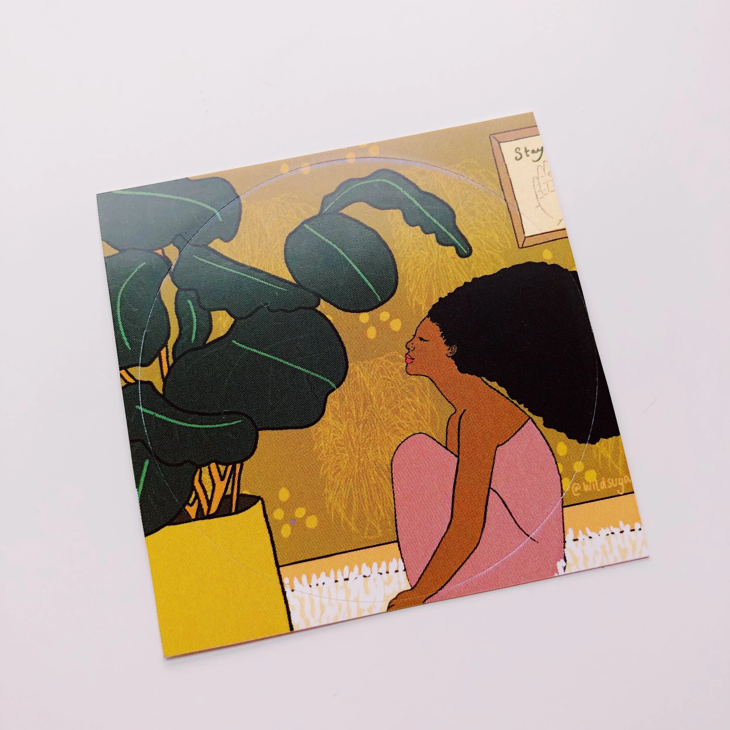 sentient contemplation