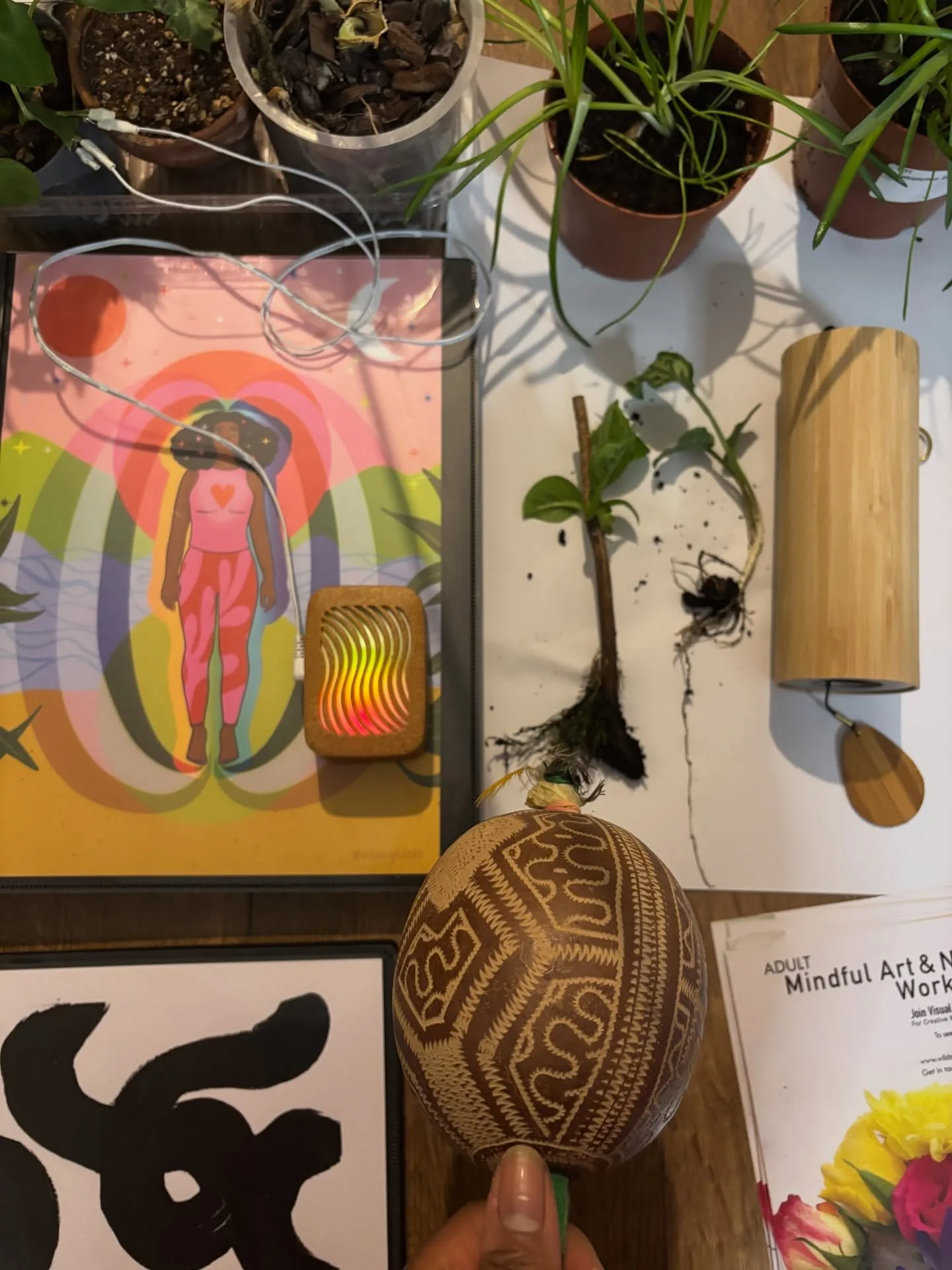 A few snapshots of Spring beginnings. 

#plantwave #illustrations #plantbiorhythm #shipiboconiboseedshaker #plants