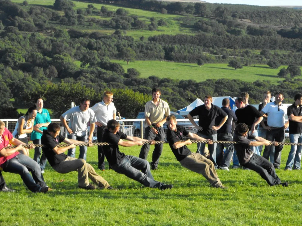 yfc31.jpg