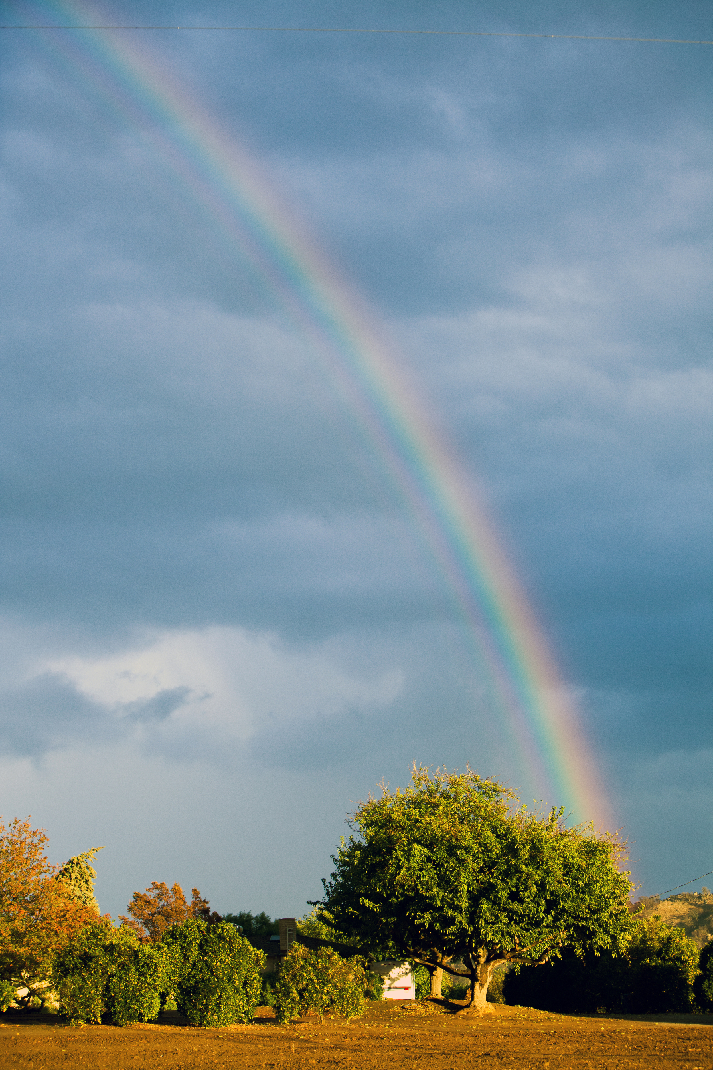 rainbow.jpg