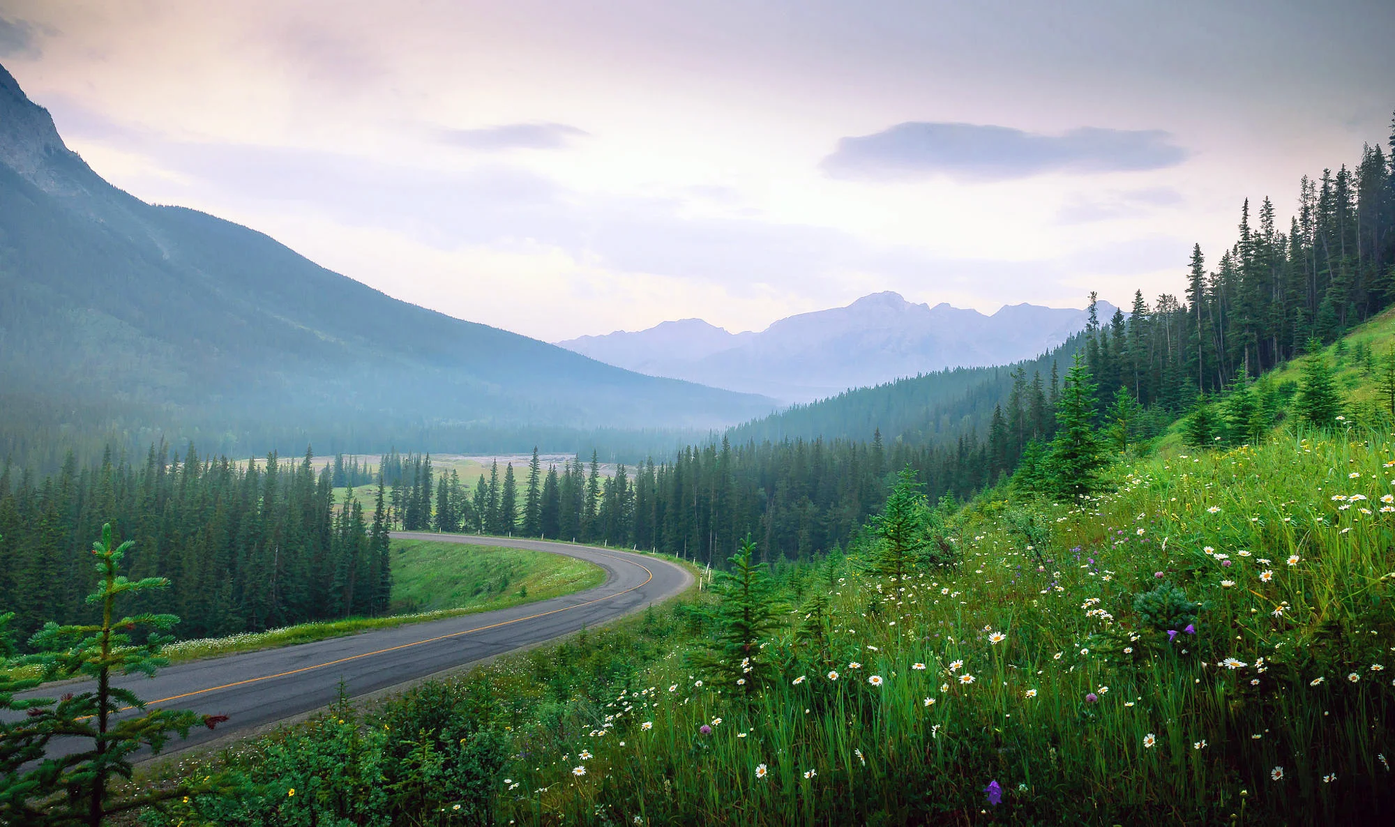 stock-photo-156943445.jpg