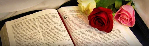 bible.jpg