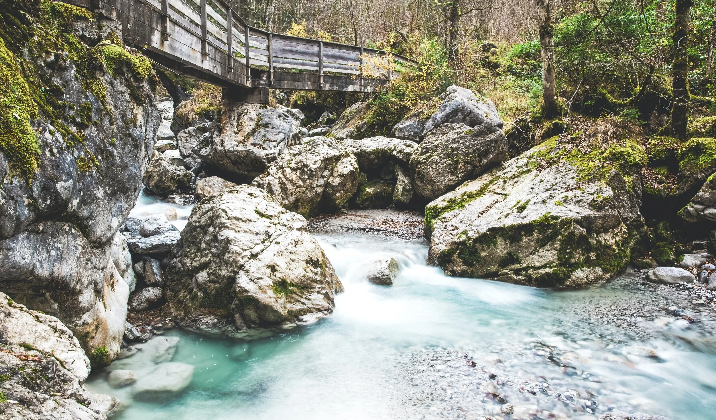 markus-spiske-fnSHLiuVXQo-unsplash.jpg