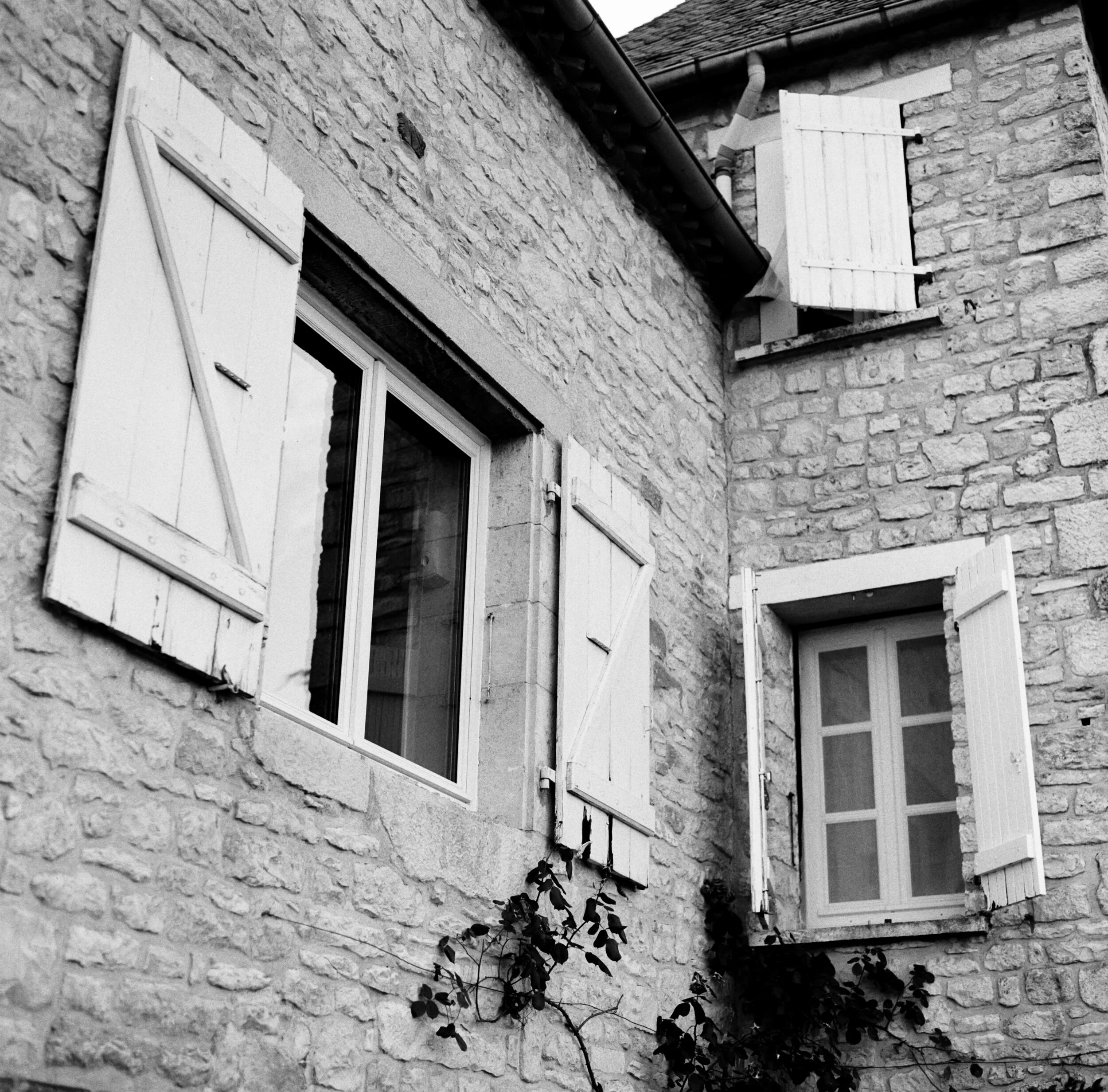 Les fenêtres (2019)