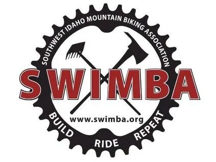 16-SWIMBA.jpg